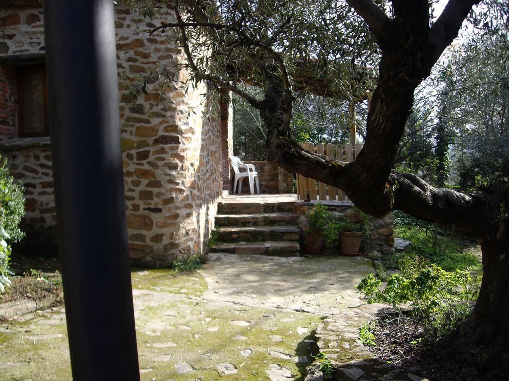 El Jiniebro Turismo Rural
