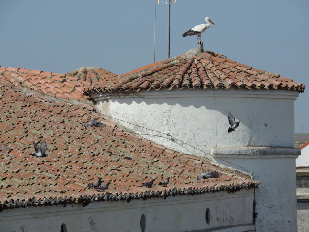 Apartamentos Barbancho
