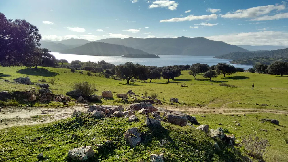 La Cerca Del Alcornoque
