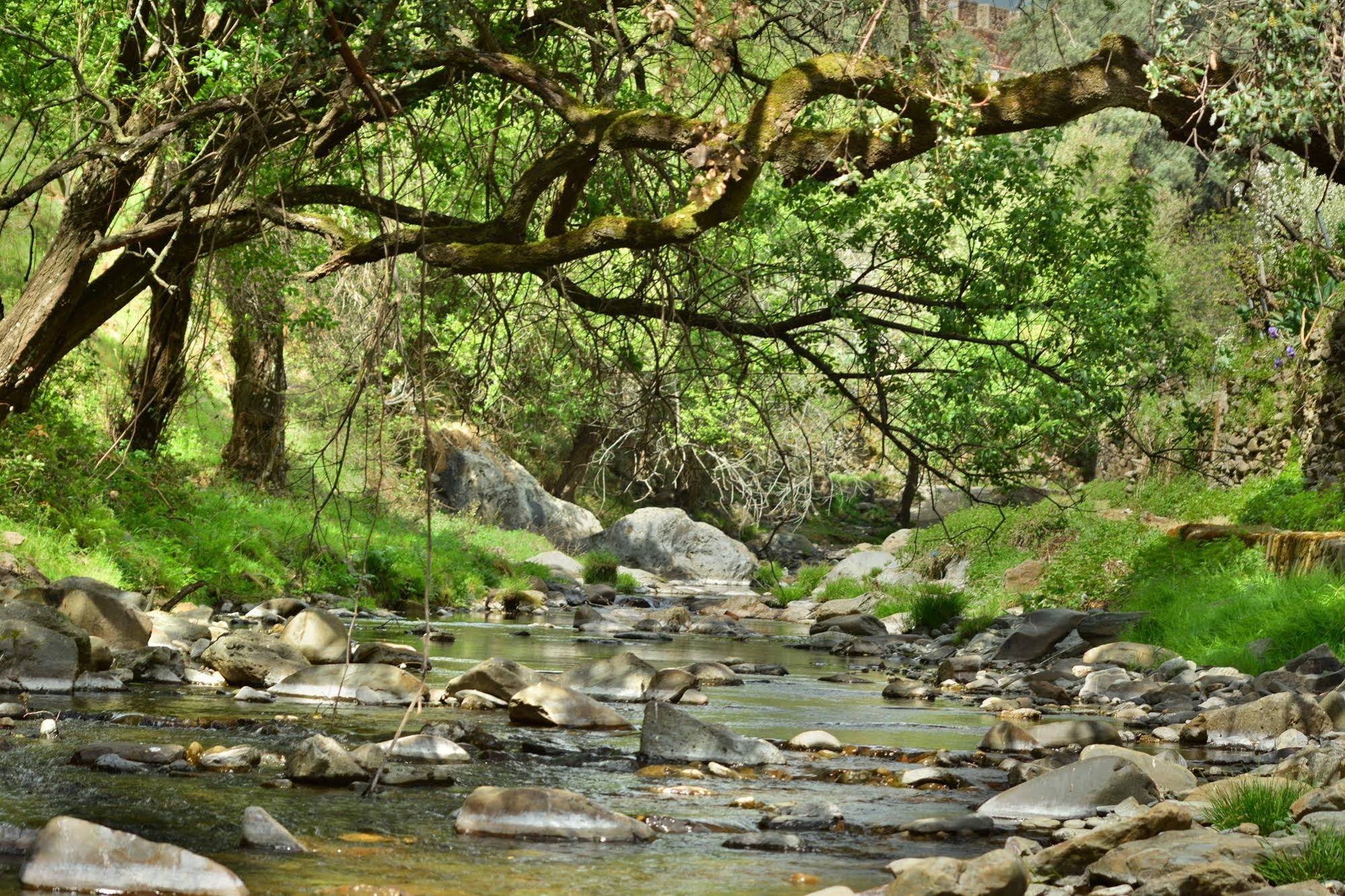 Ramajal Rural