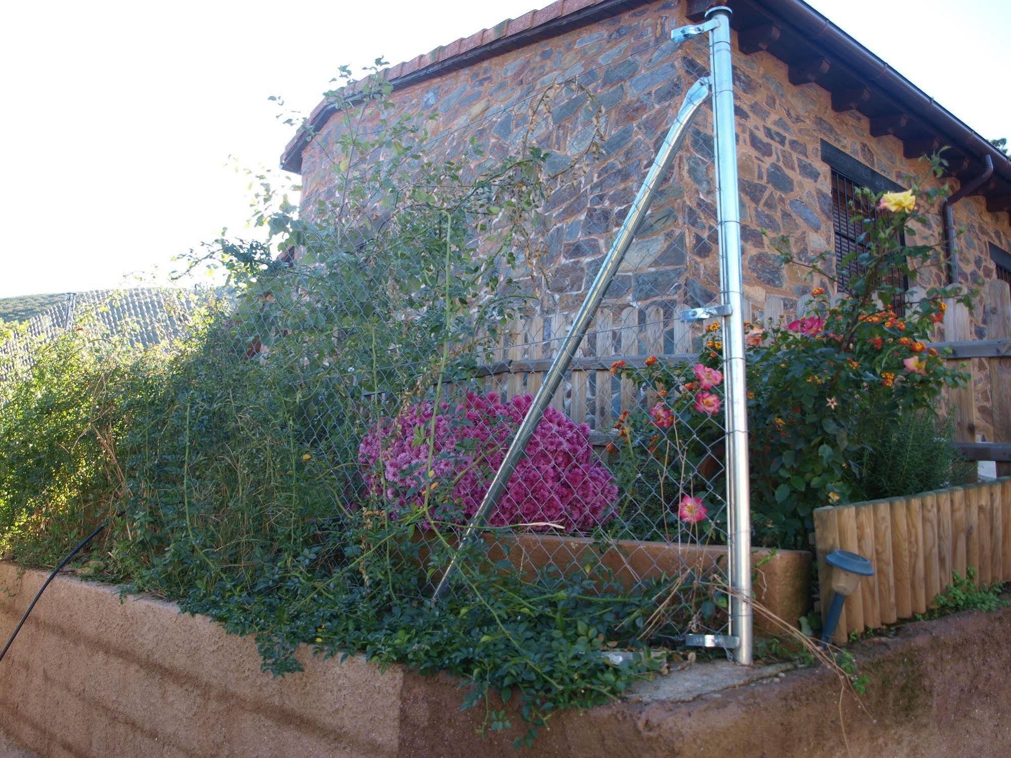 Ramajal Rural