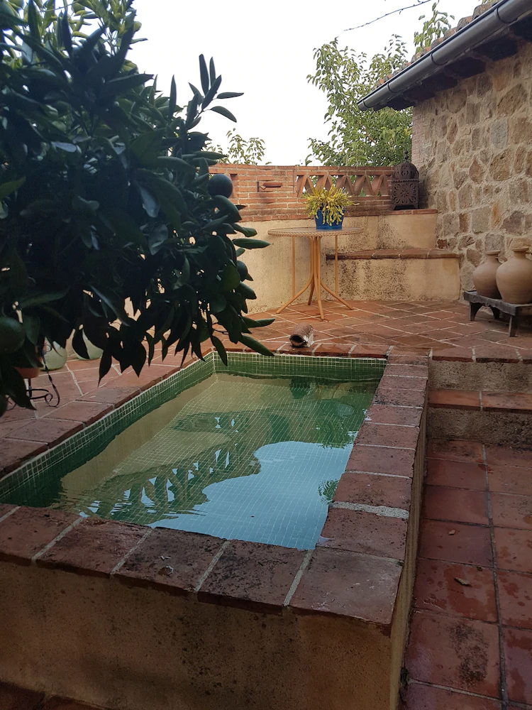 El Atalanto