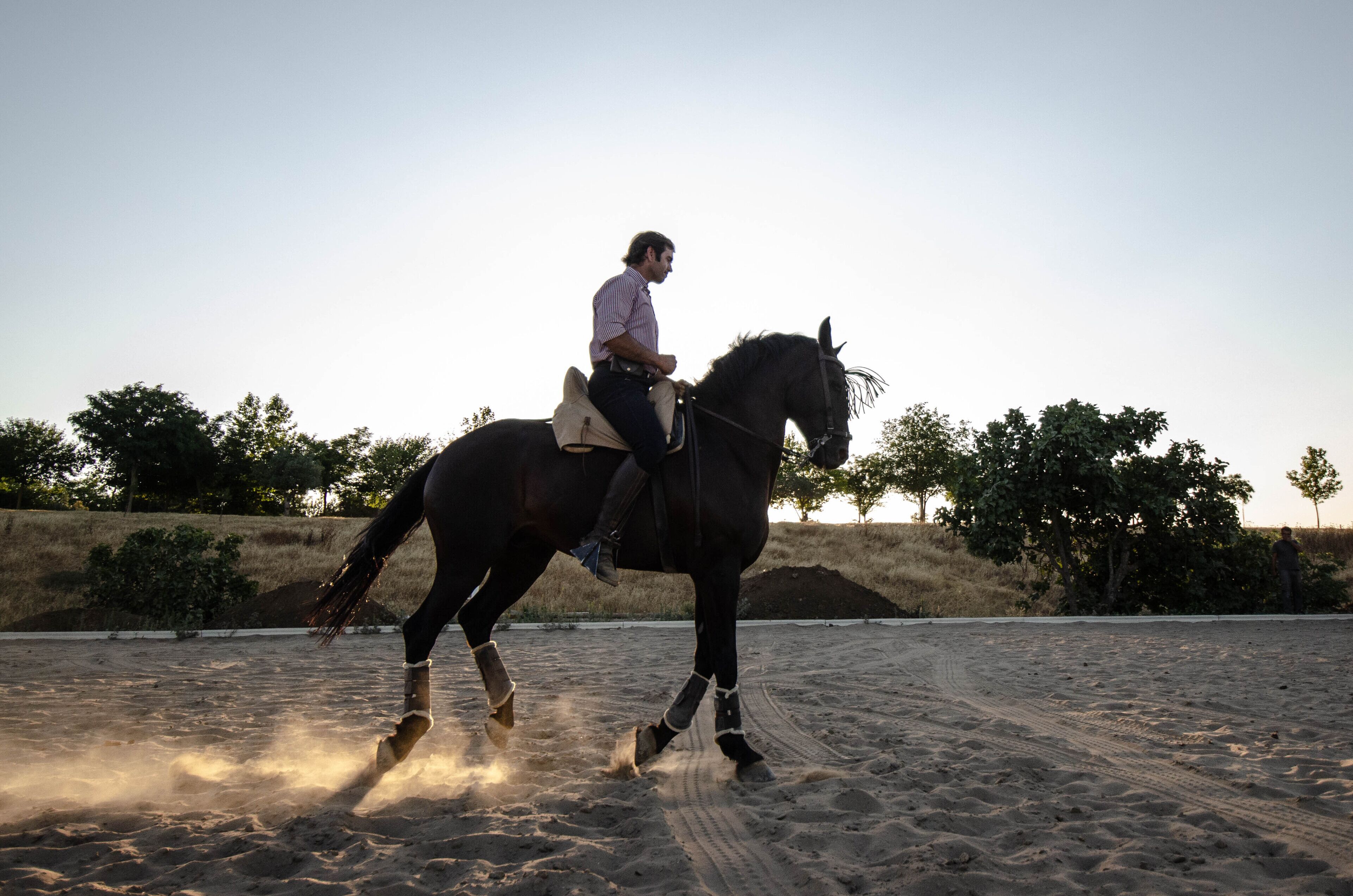 La Dehesa De Don Pedro