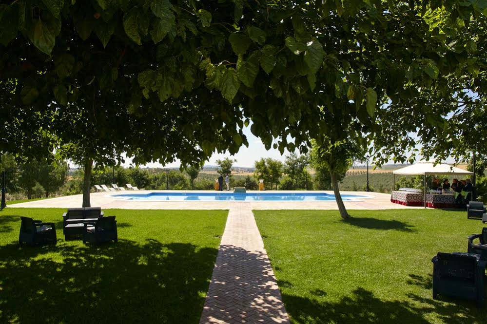 Hotel Bodega El Moral