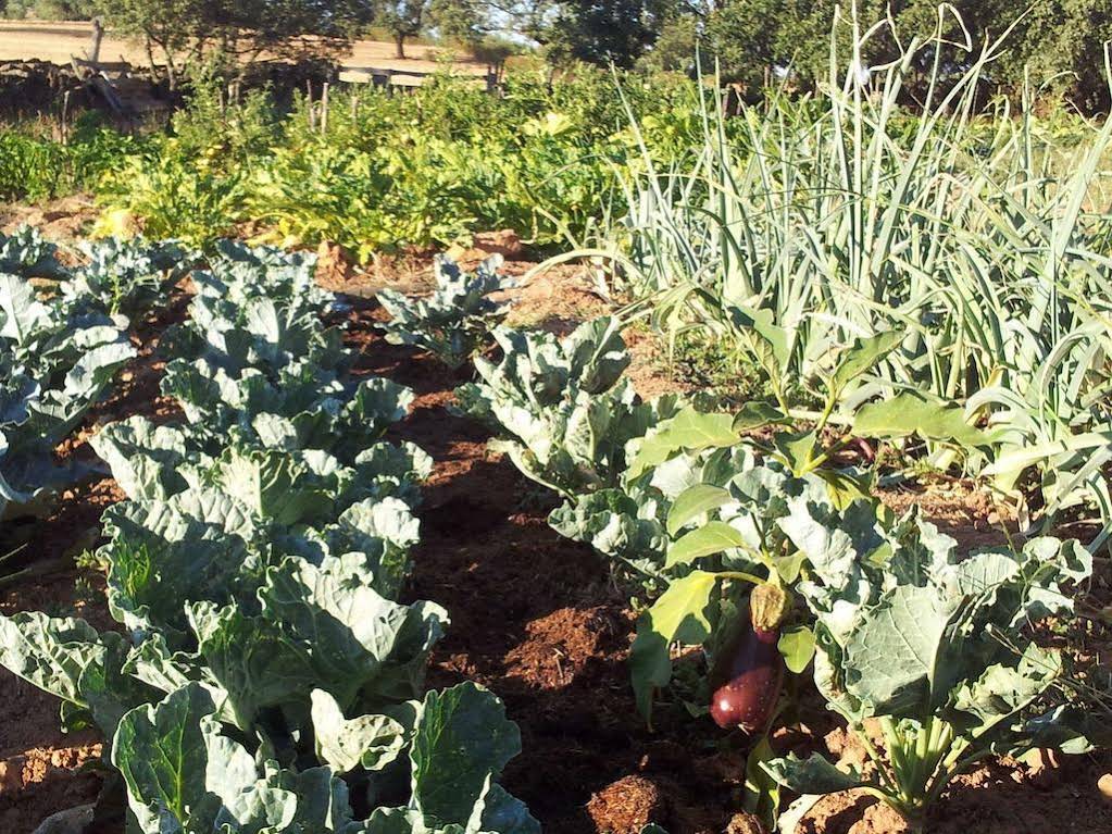 Finca La Ramallosa