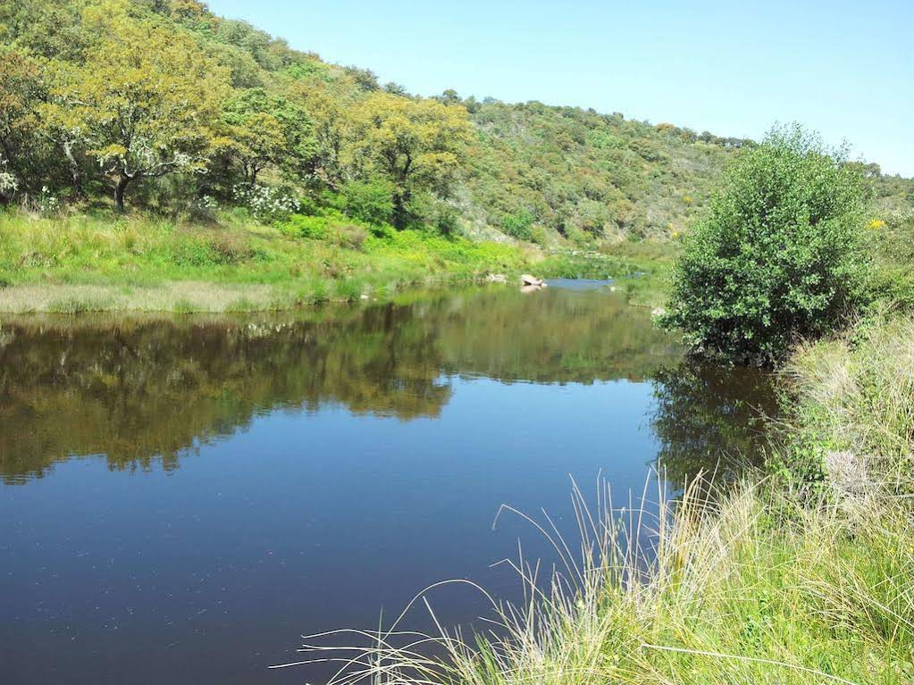 Finca La Ramallosa
