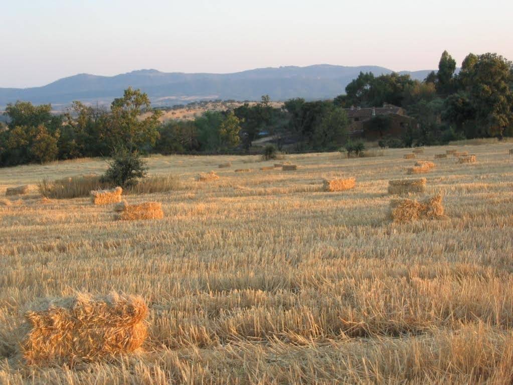 Finca La Ramallosa