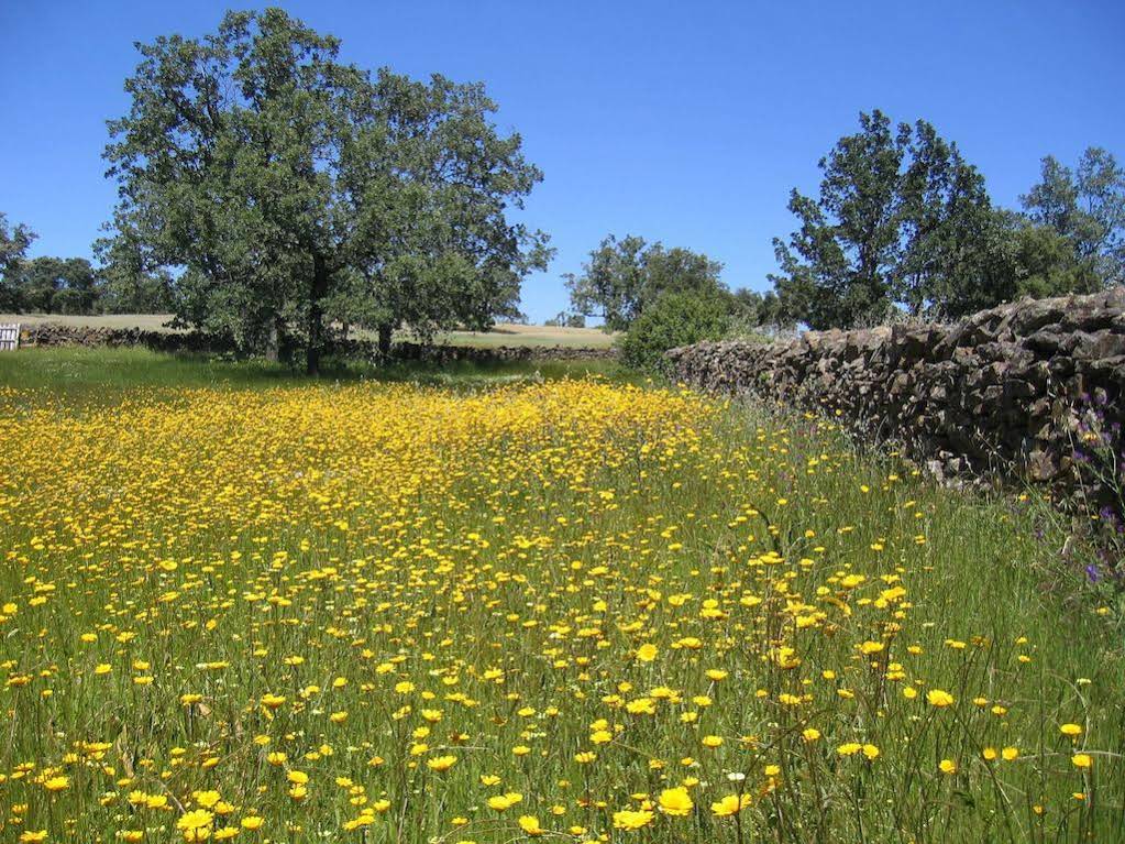 Finca La Ramallosa