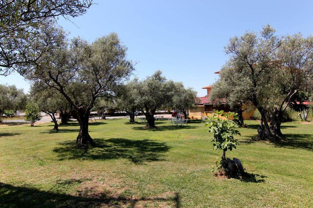 Hojaranzos