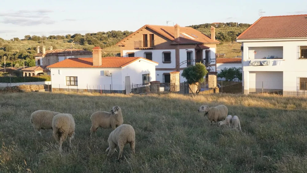 Apartamentos Estrellas De Monfrague