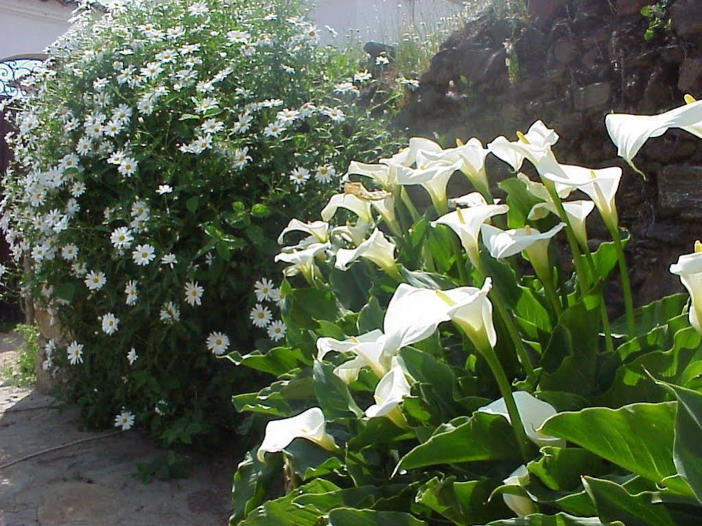 Finca El Azahar