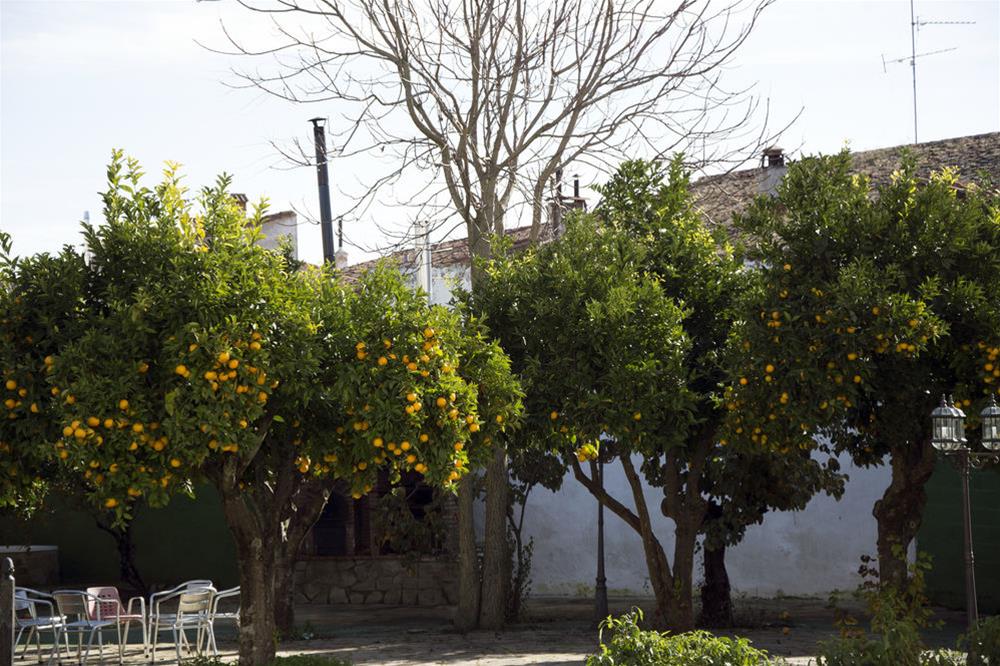 Hostal San Miguel