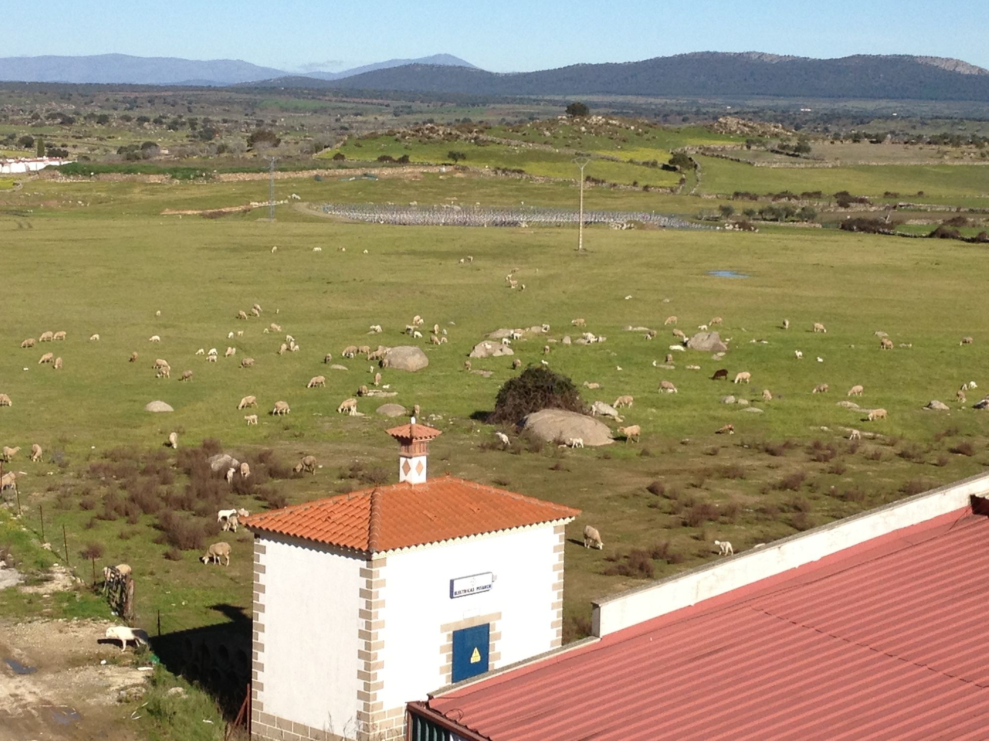 Apartamentos rurales Complejo Peñafiel