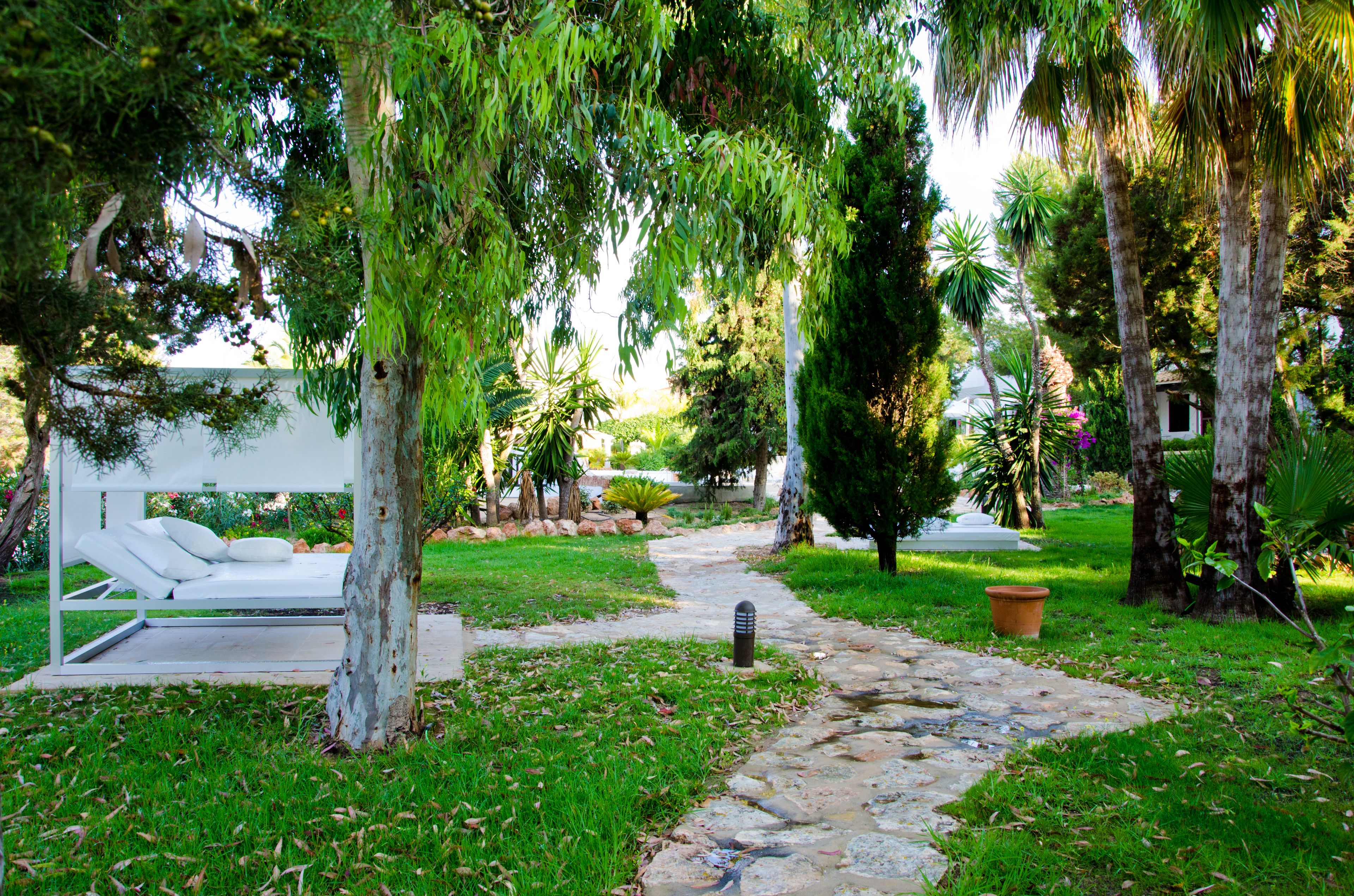 Paraiso de los Pinos