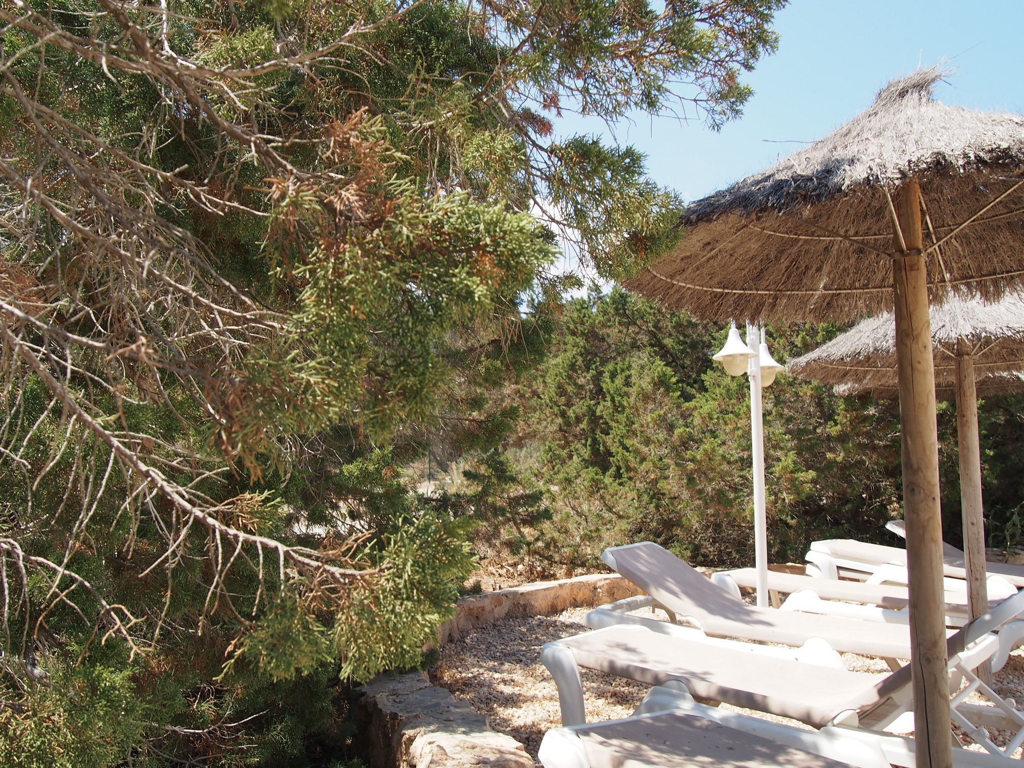 Resort Lago Playa