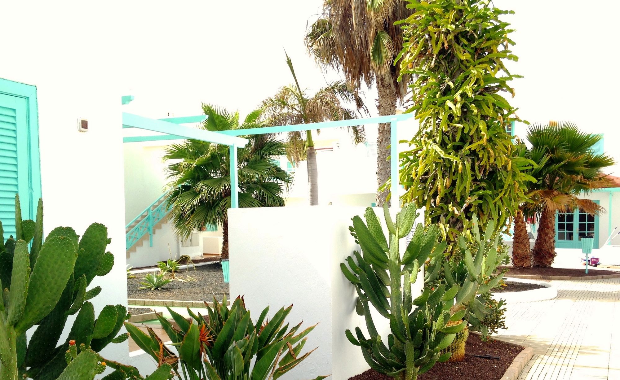 Smy Tahona Fuerteventura
