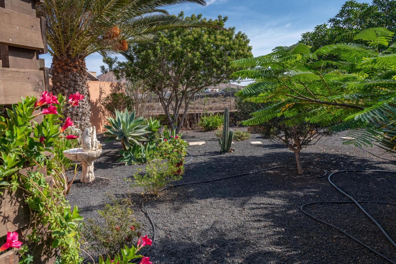 Villa Maravilla Fuerteventura
