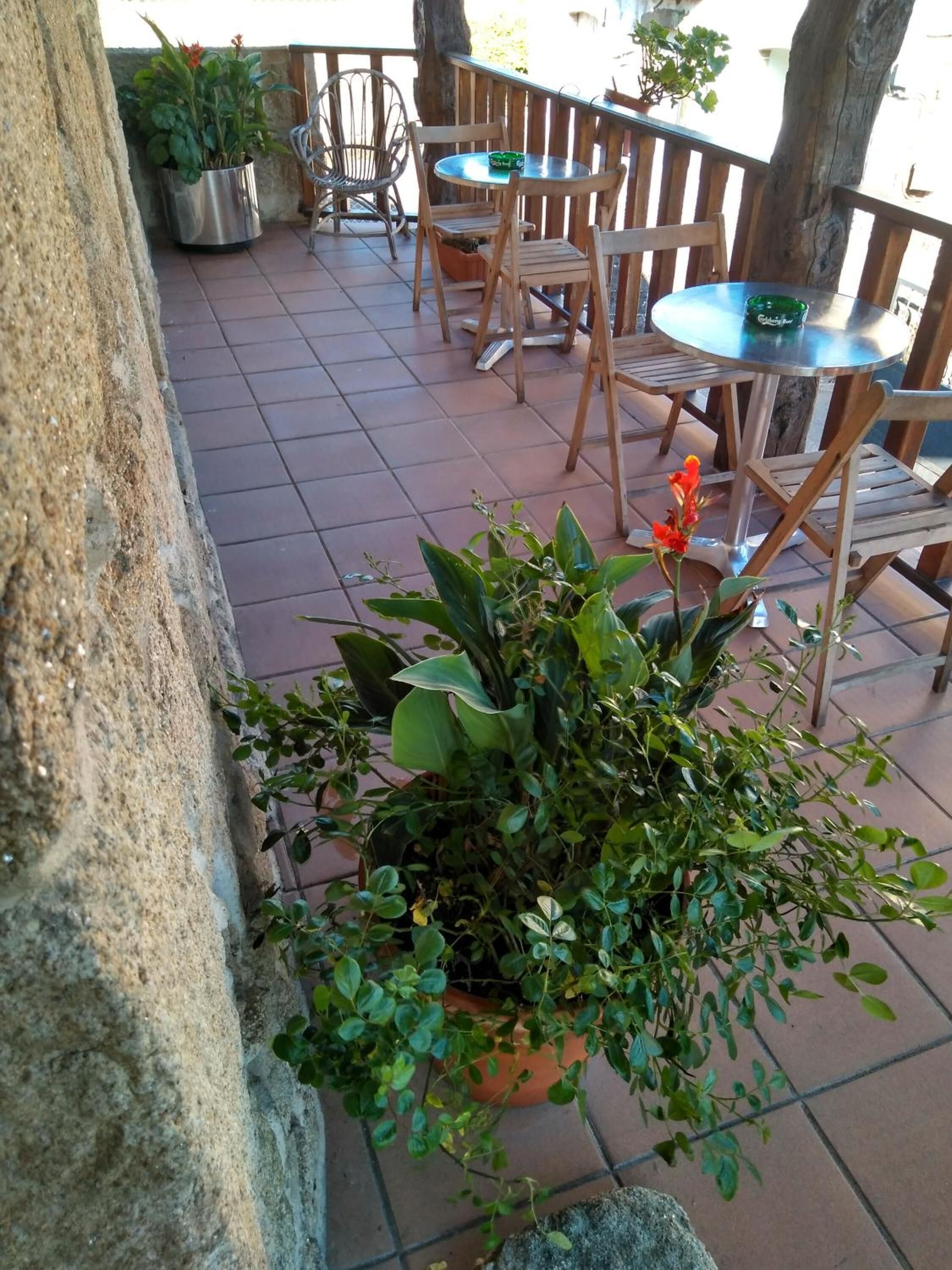 Casa Cruceiro Arbo