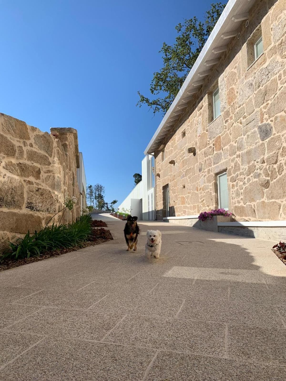 Hotel Nande