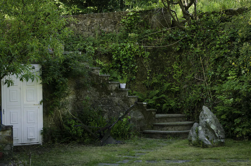 Os Petroglifos
