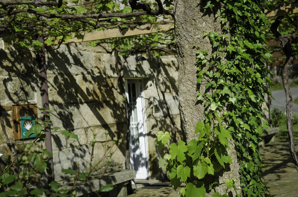 Os Petroglifos