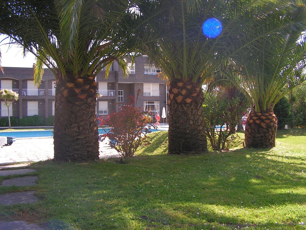 Don Hotel
