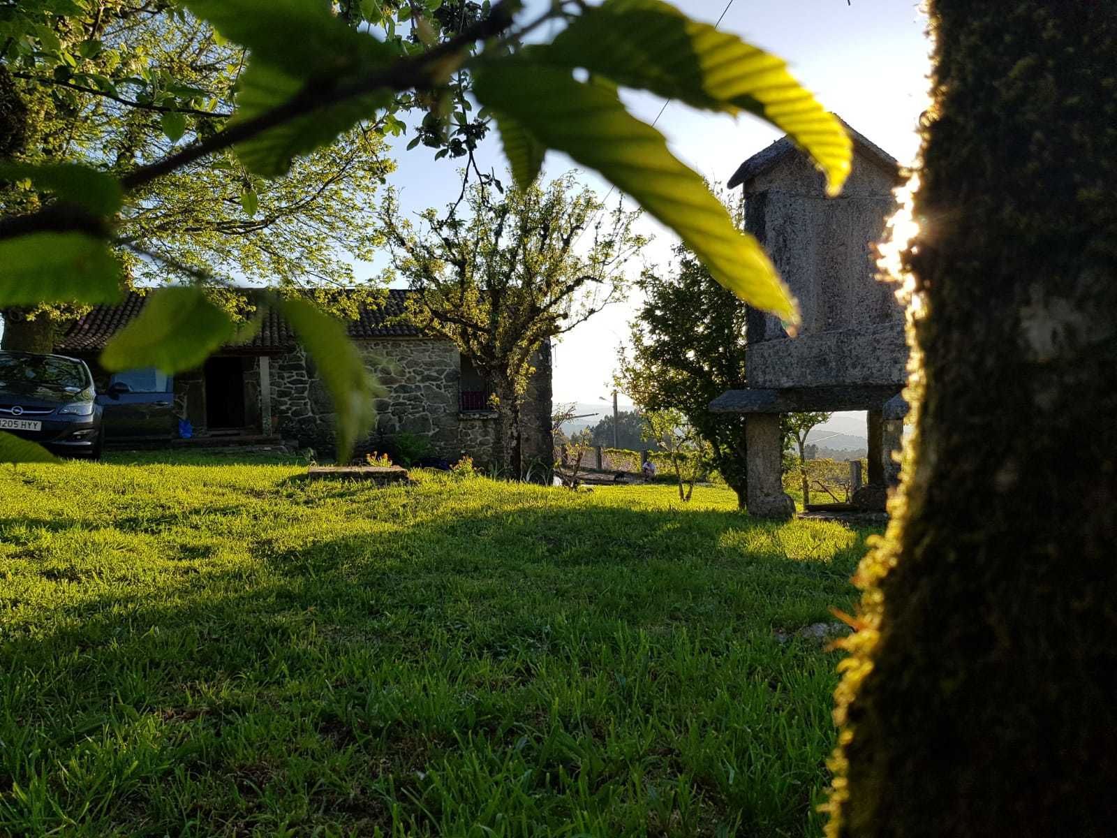 A Portelina