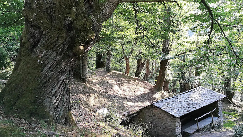 A Carbina Alojamiento Rural En Courel