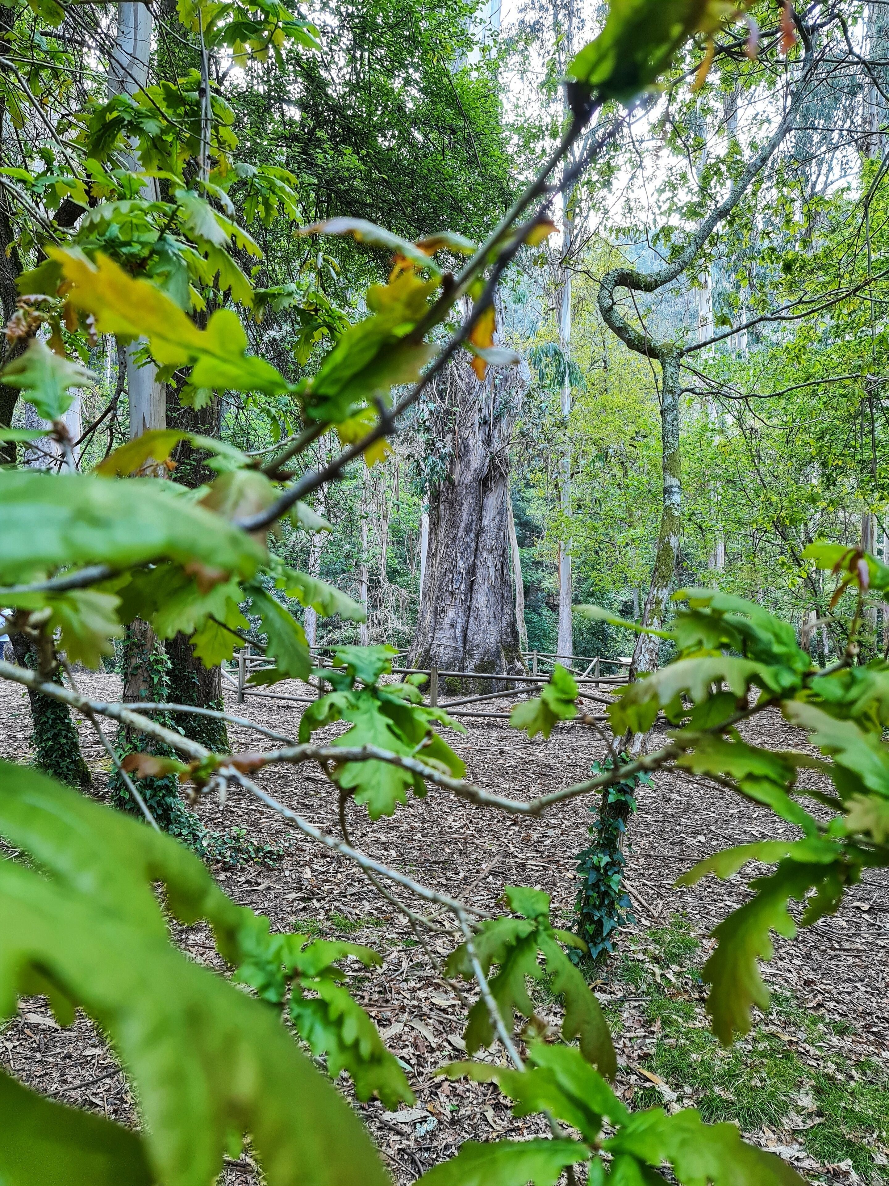Duerming Ría De Viveiro Apartamentos