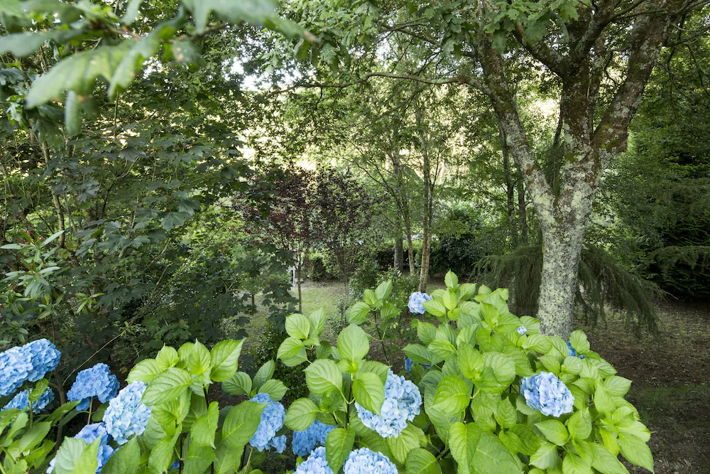 Quinta Das Barreiras