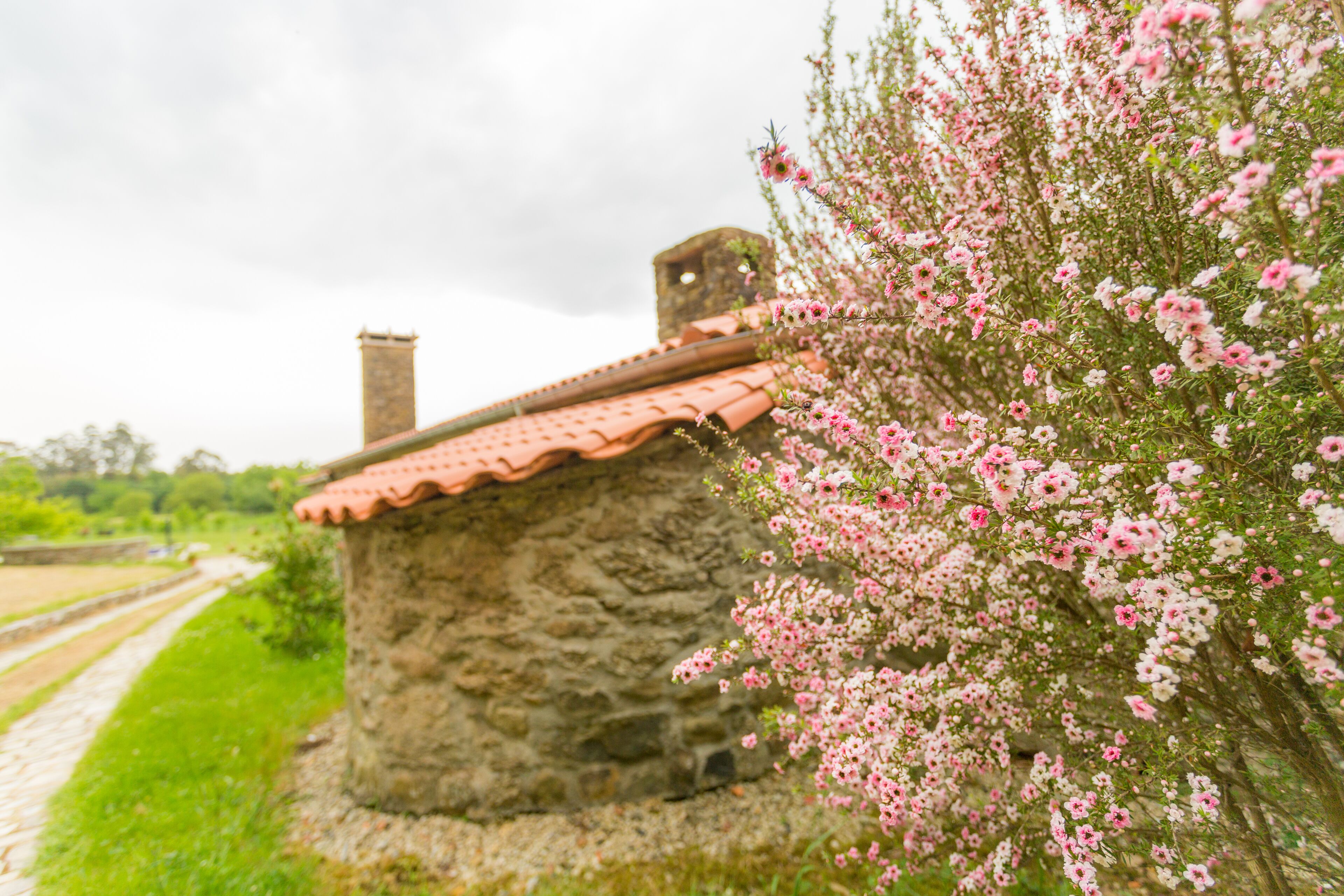 Casa Da Ponte De Penas