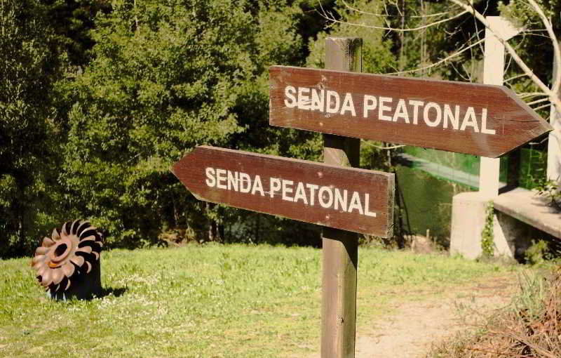 Pesquería del Tambre