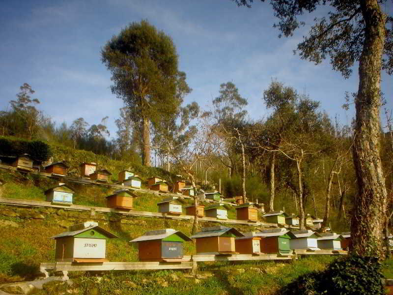 Pesquería del Tambre