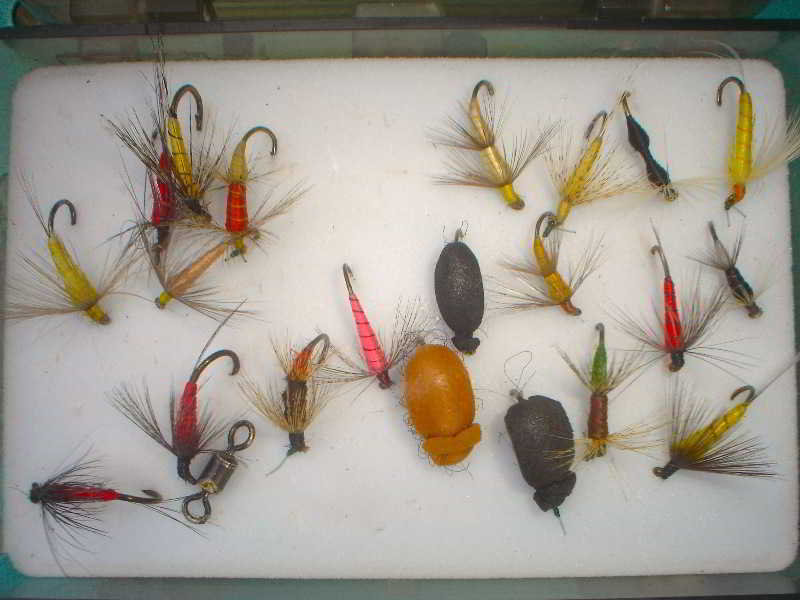 Pesquería del Tambre