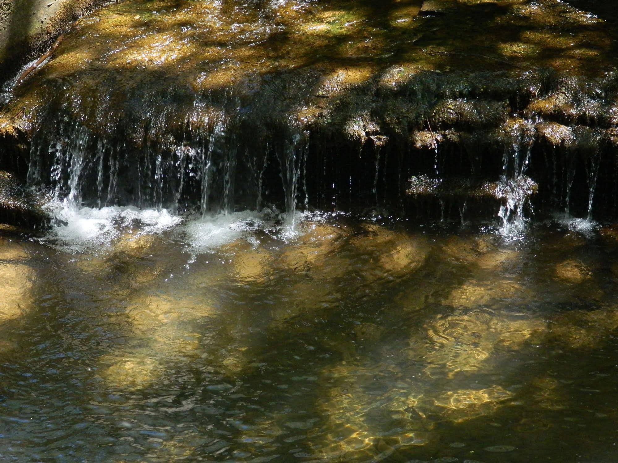 Hermida Rural