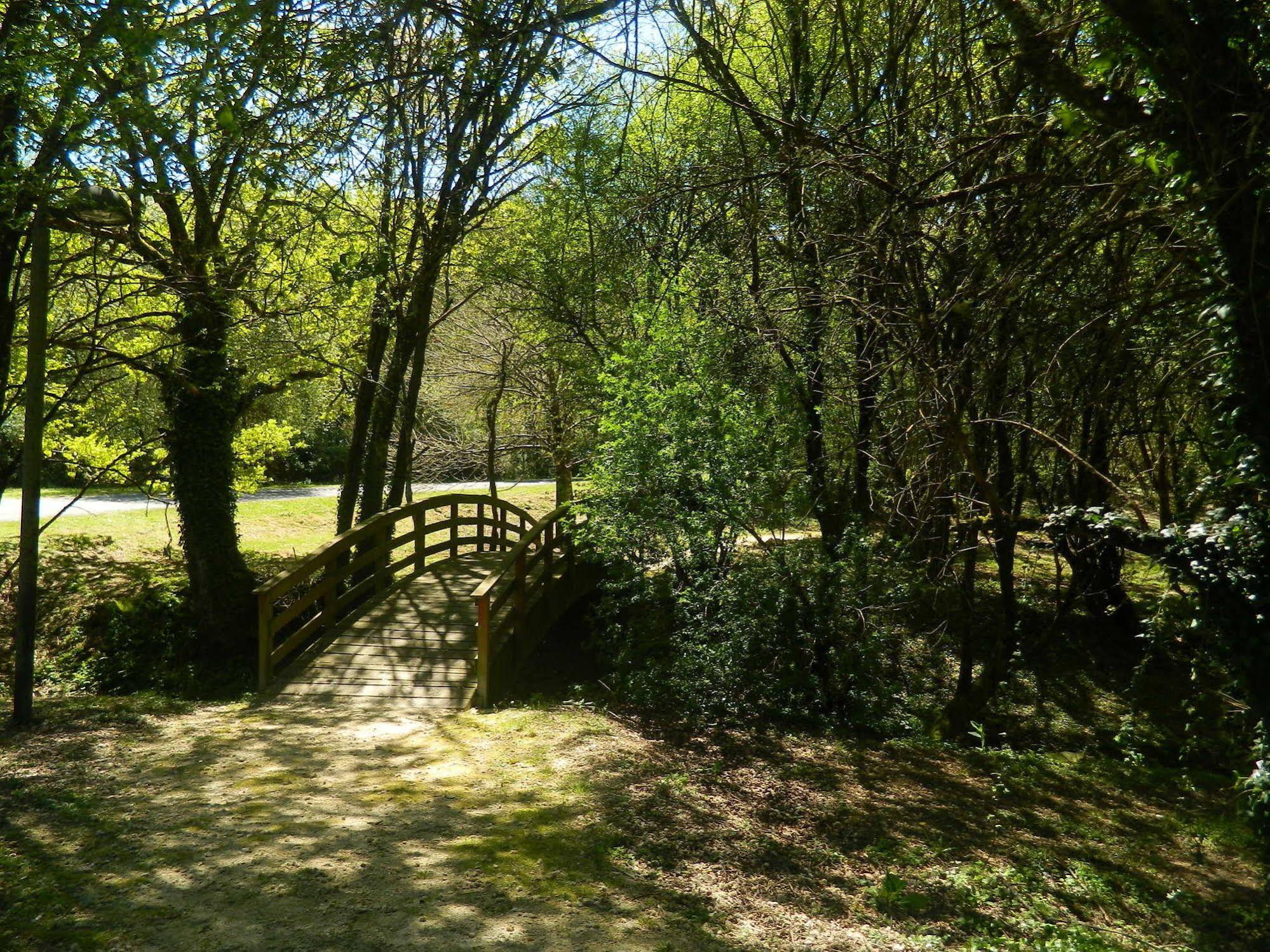 Hermida Rural