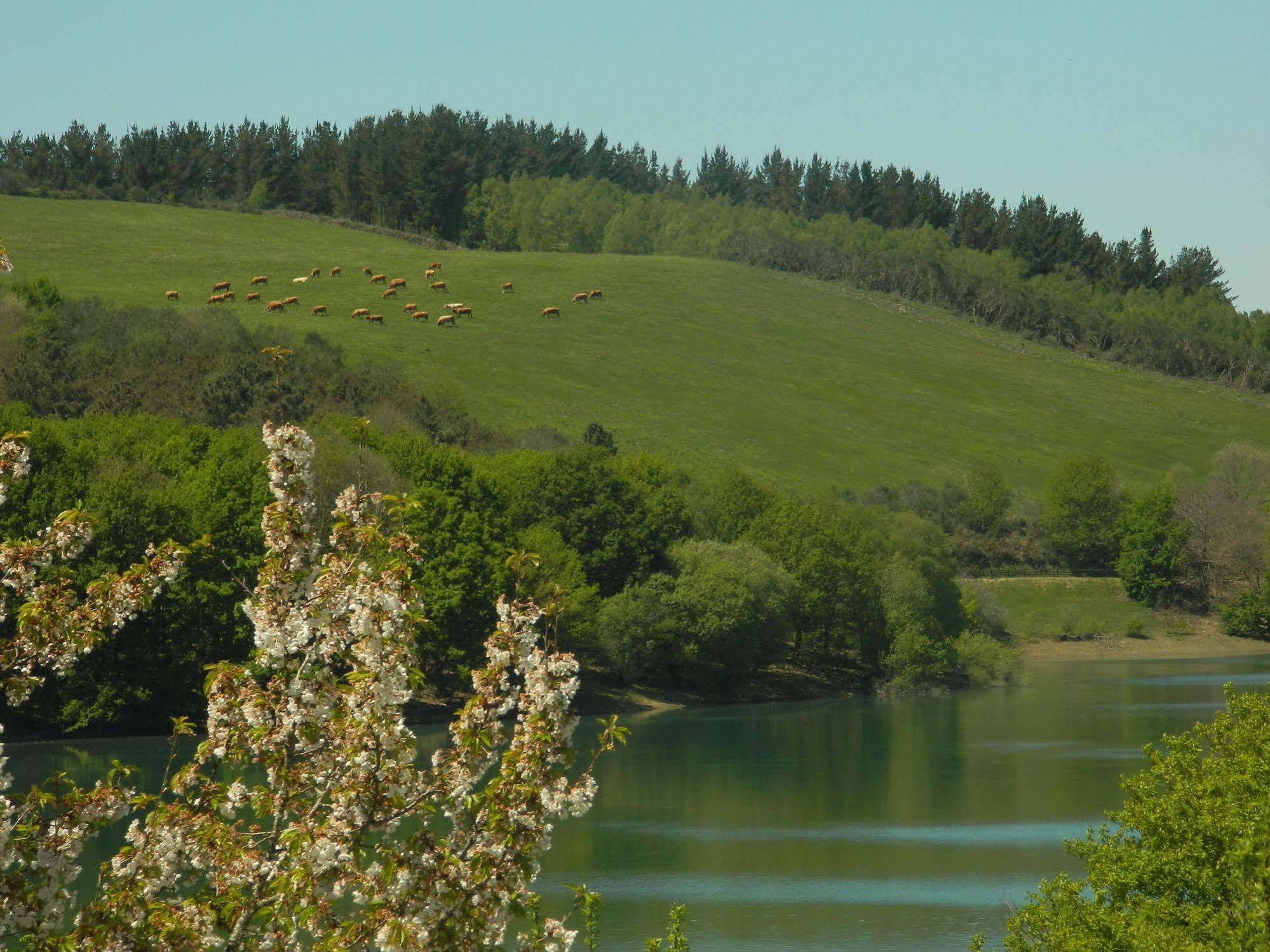 Hermida Rural