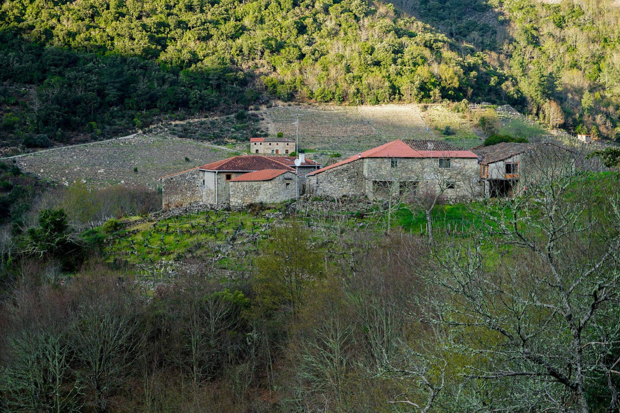 Olar de Rabacallos