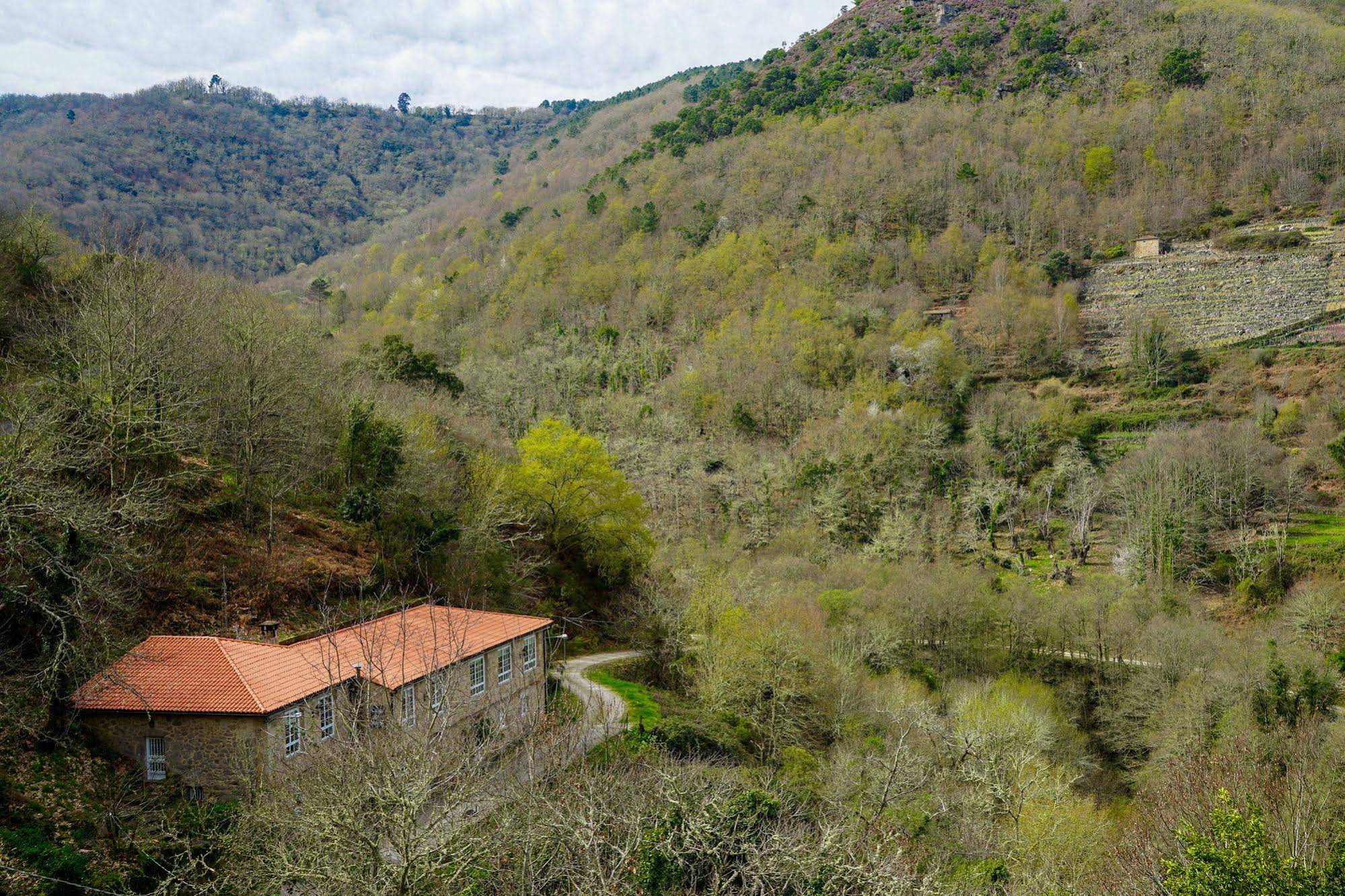Olar de Rabacallos