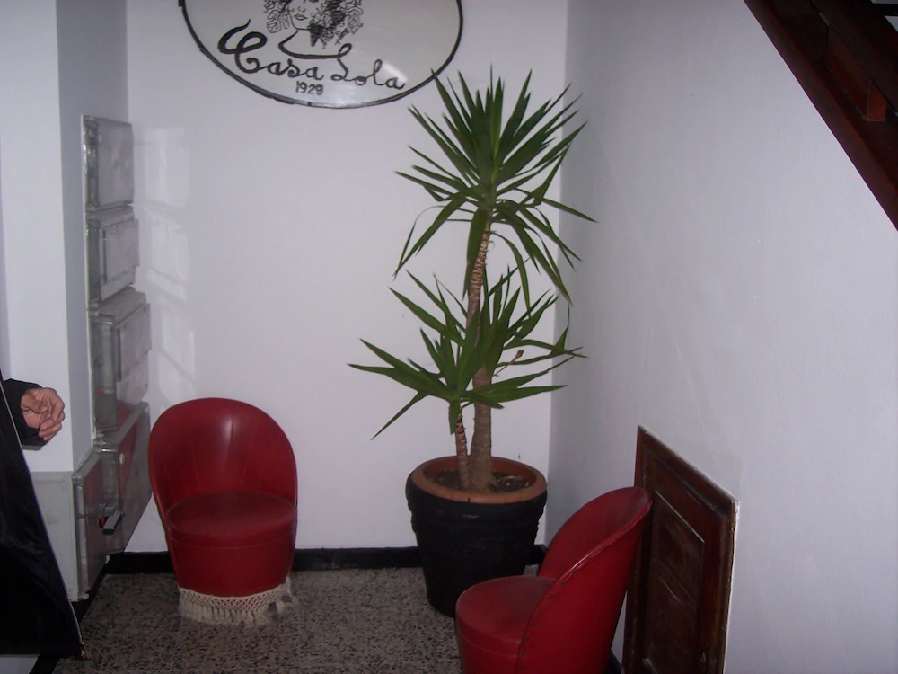 Casa Lola