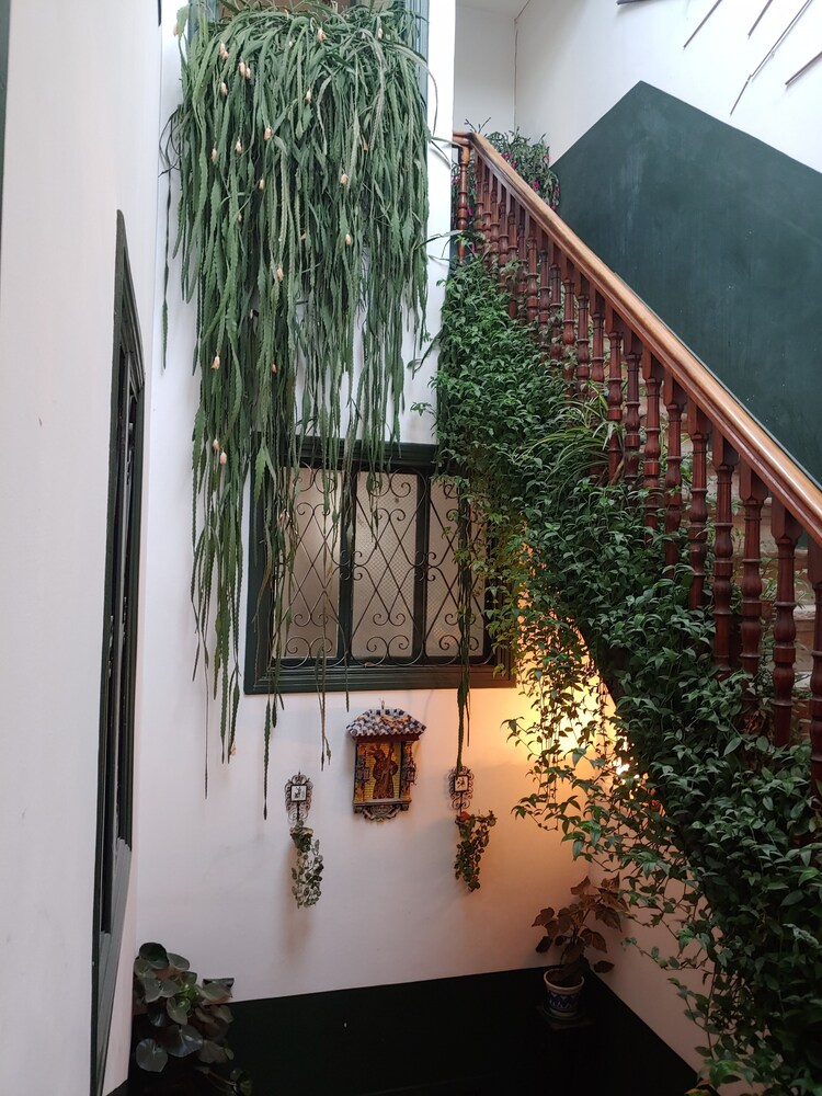 El Bordón De La Casa Batallón
