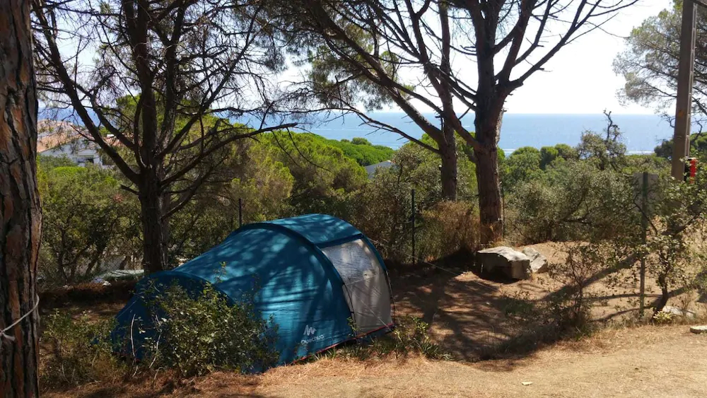 Camping Moby Dick