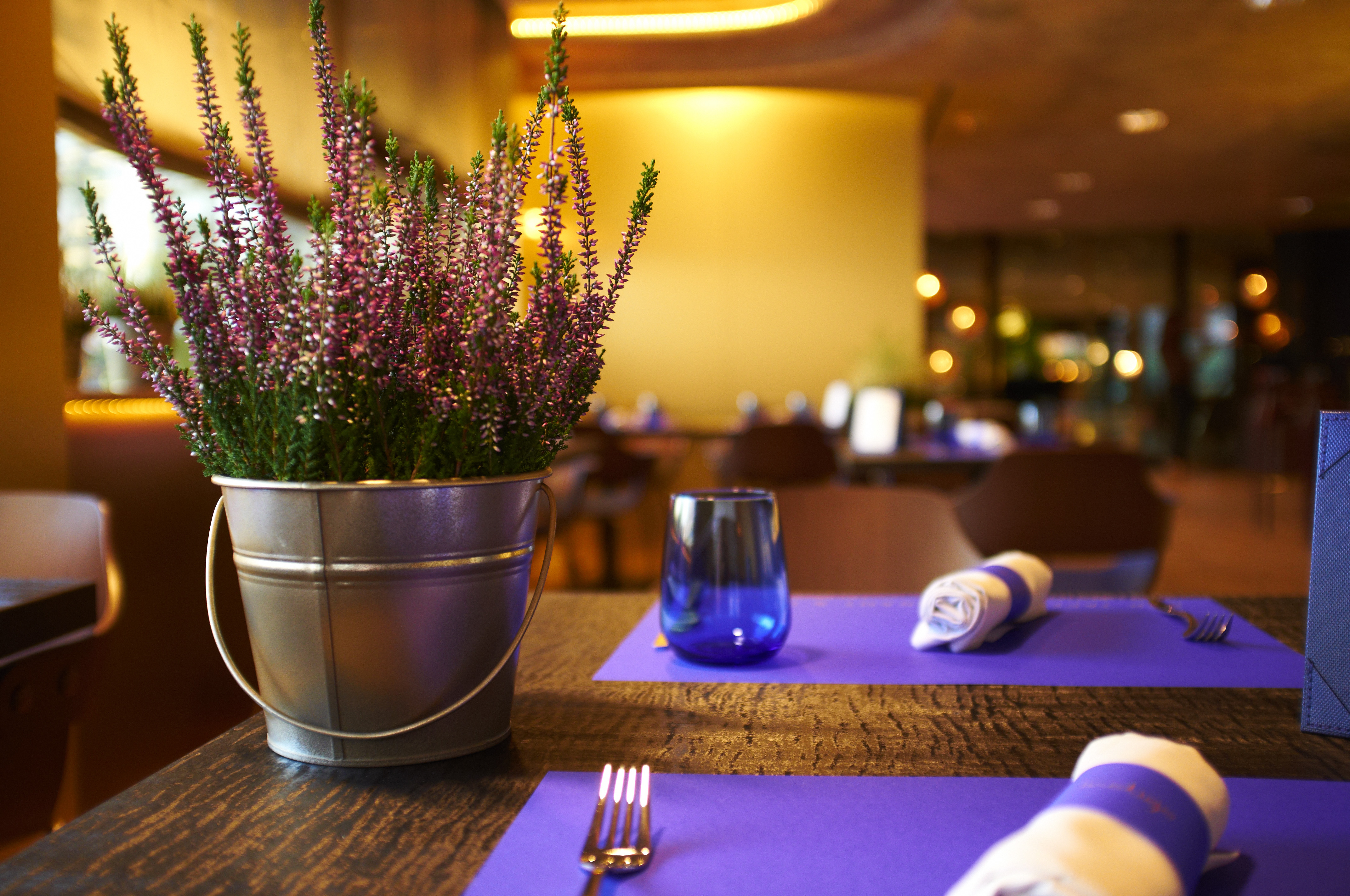 Hotel Carlemany