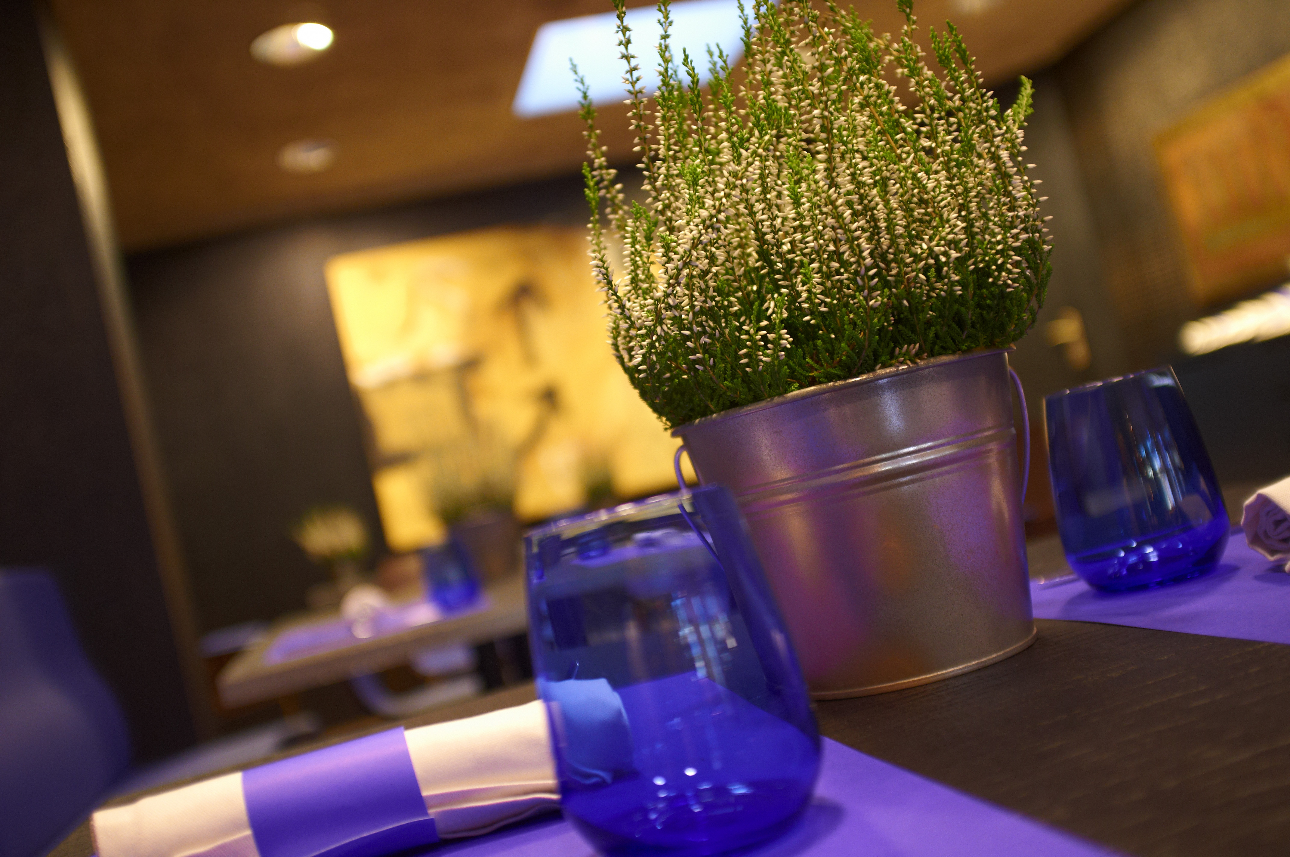 Hotel Carlemany