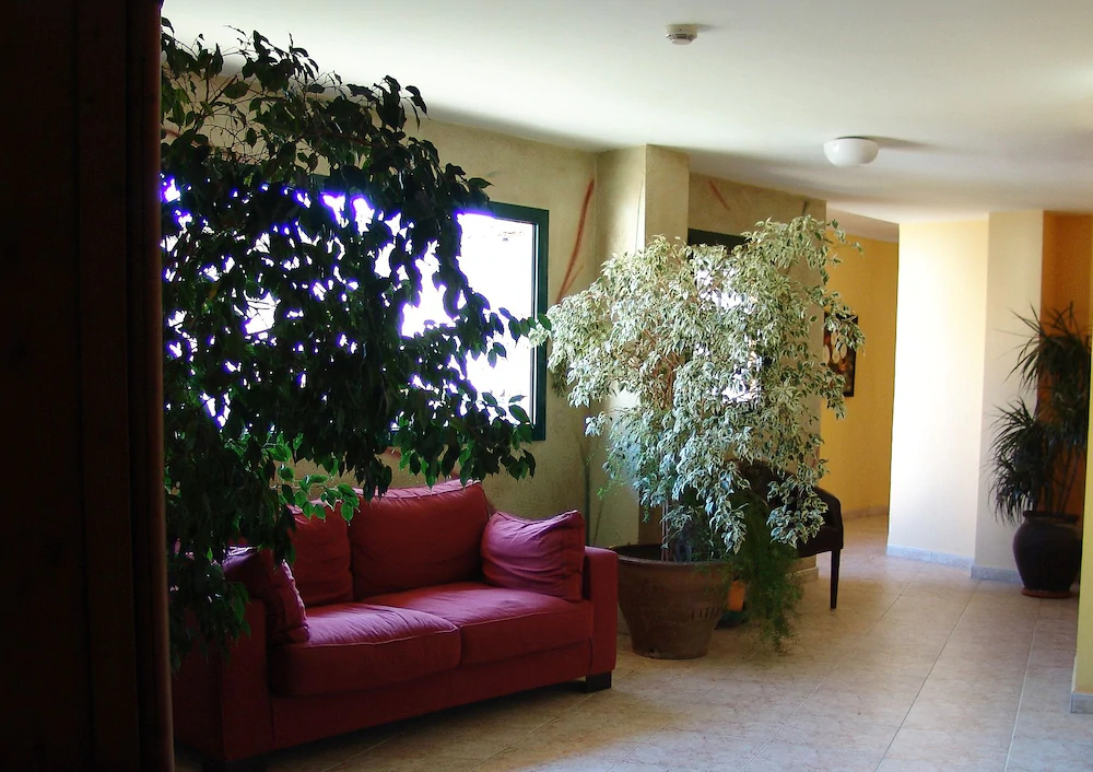 Hotel Pinxo