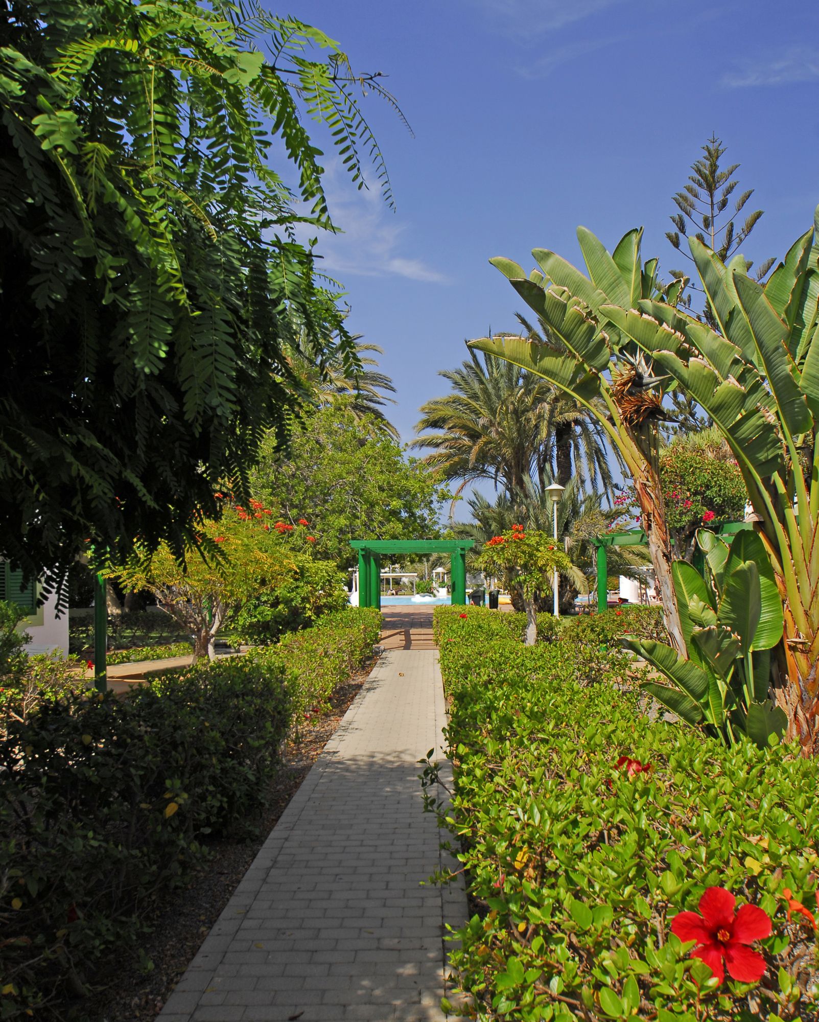 Bungalows Cordial Sandy Golf