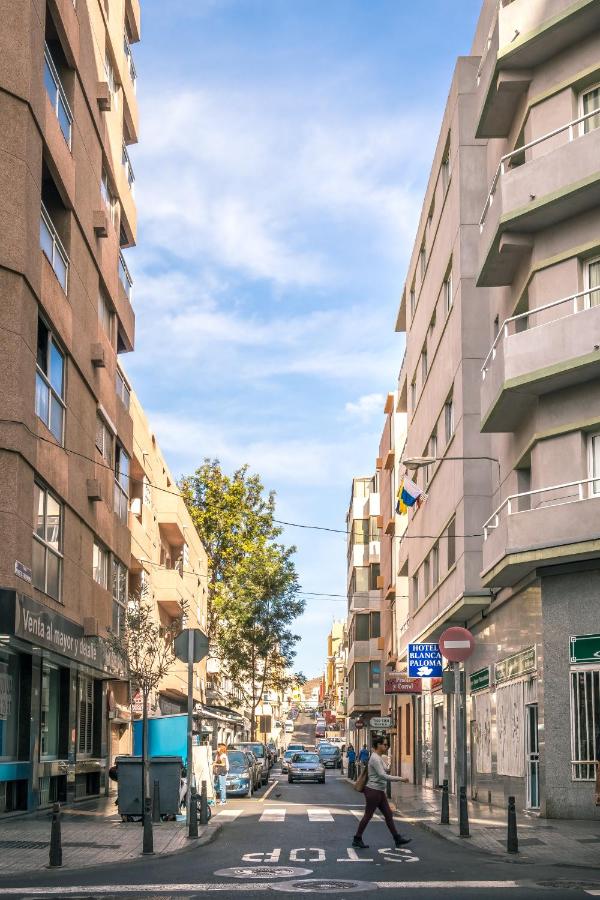 Le Petit Palü Las Palmas