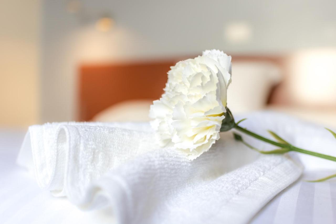 Le Petit Palü Las Palmas