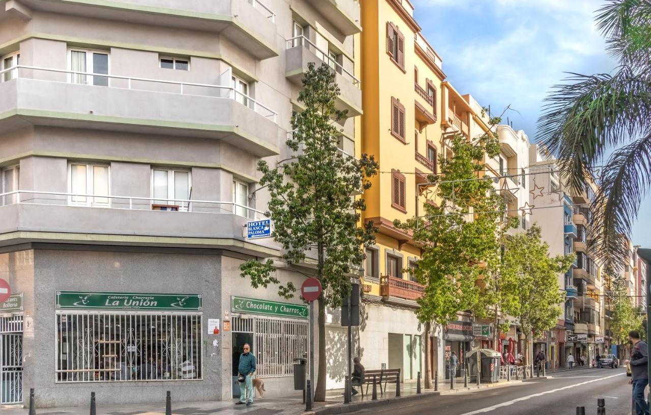 Le Petit Palü Las Palmas