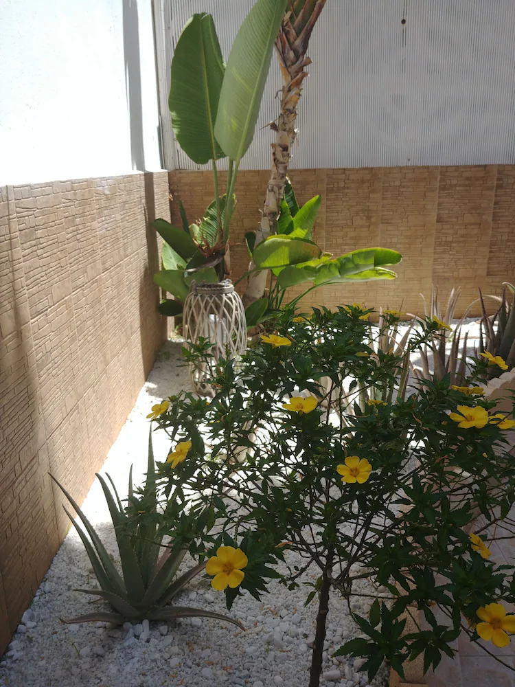 Gran Canaria Guesthouse